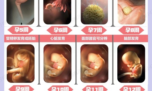 秋款孕妇装新款2024爆款-淘宝秋冬孕妇装网- 淘宝网购孕妇衣服知识,分享孕妇装秋冬装