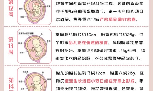 秋冬孕妇装买几套比较好-淘宝秋冬孕妇装网- 淘宝网购孕妇衣服知识,分享孕妇装秋冬装